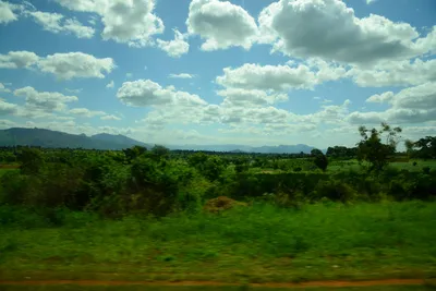 DSC_9672 (Large).JPG